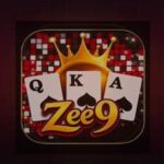 zee9 game