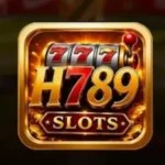 h789 game