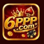 6PPP Game