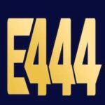 E444 Game