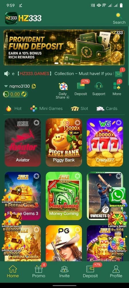 HZ333 Game Download