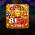 81CC Game